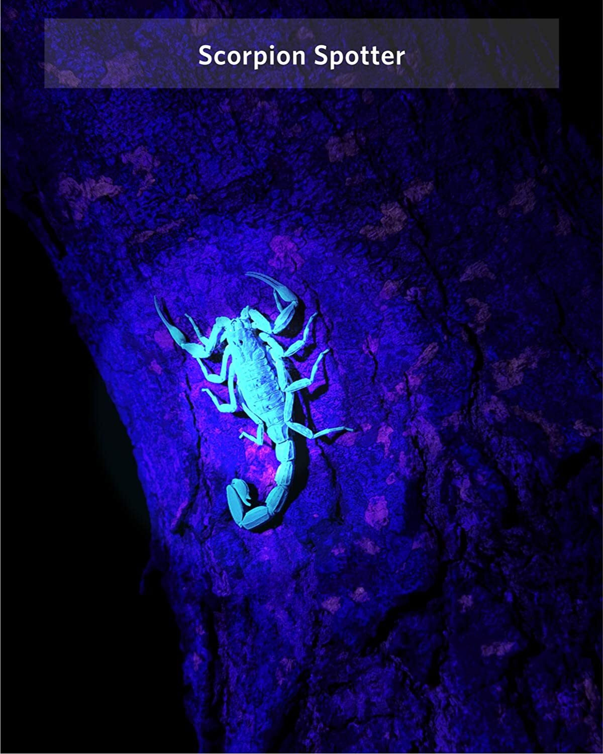 2x UV Ultra Violet LED Flashlight Blacklight Light 395 NM Inspection Lamp Torch