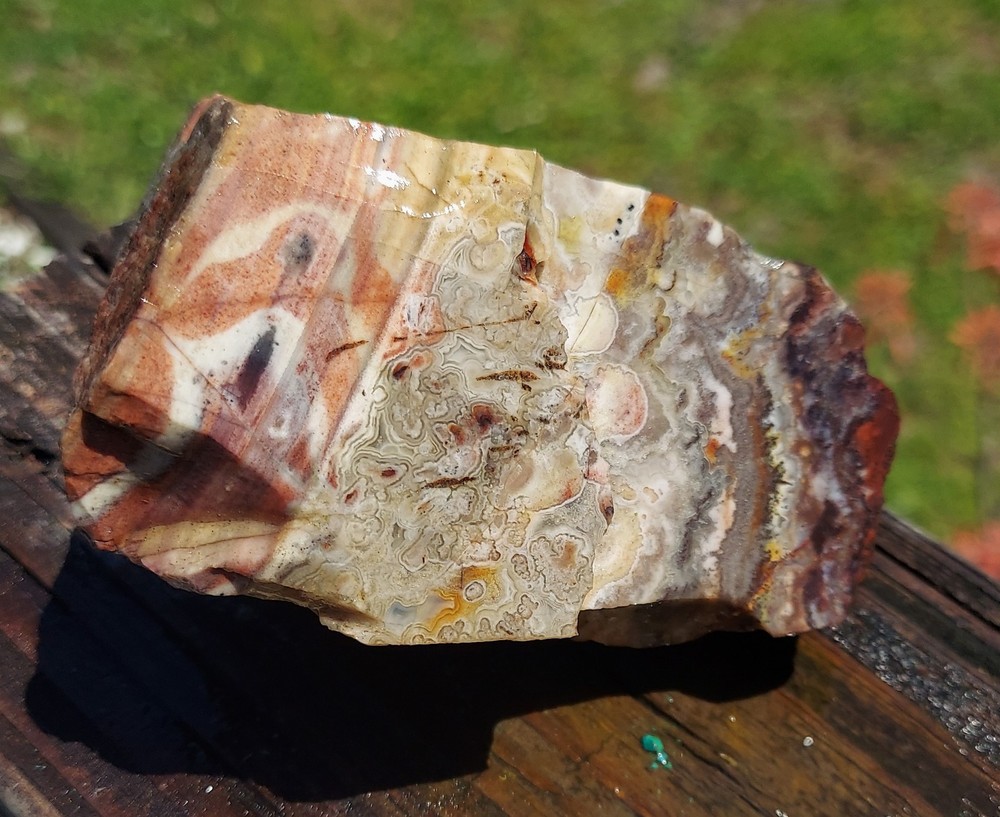 Sarape Agate Rough
