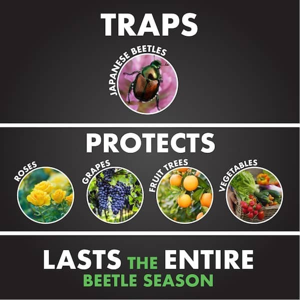 Bag-A-Bug Kwik Stand for Japanese Beetle Trap