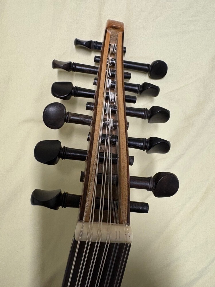 Professional oud instrument