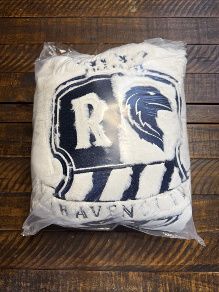 Pottery Barn Teen Harry Potter™ Ravenclaw™ Faux Fur Bean Bag slipcover Only New!
