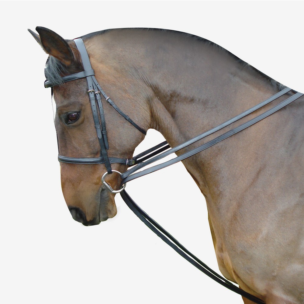 DRAW REINS TRAINING SMOOTH LEATHER SMOOTH LEATHER RETURN NETS