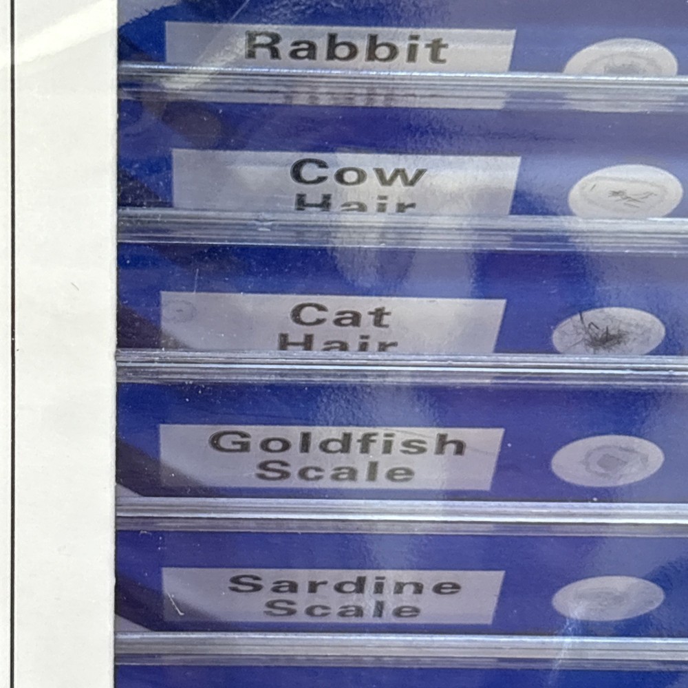 Animal Microscope Slides 12 pc