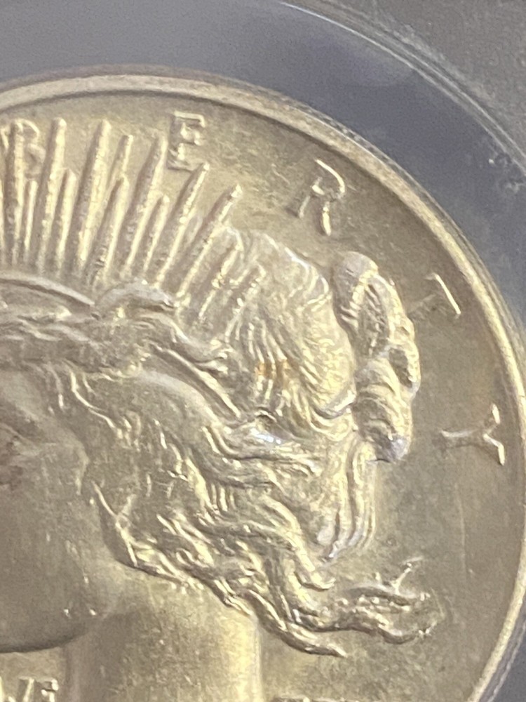 1921 Silver Peace $1 Dollar ~ ANACS Graded MS 60