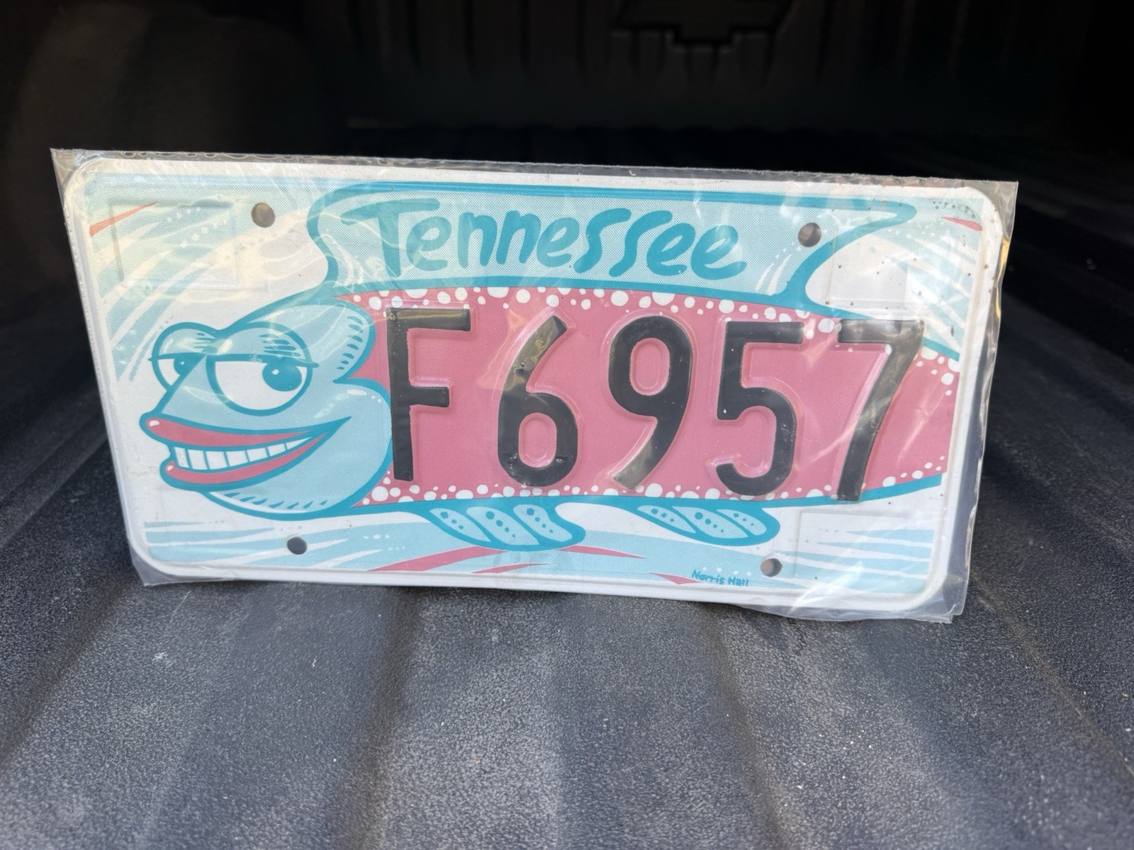 Tennessee Specialty Fish Design License Plate F6957 Collectible Souvenir