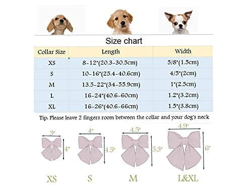 Valentine's Day Dog Collar-Adorable Pink Heart Dog Collar with Sailor Bowtie,