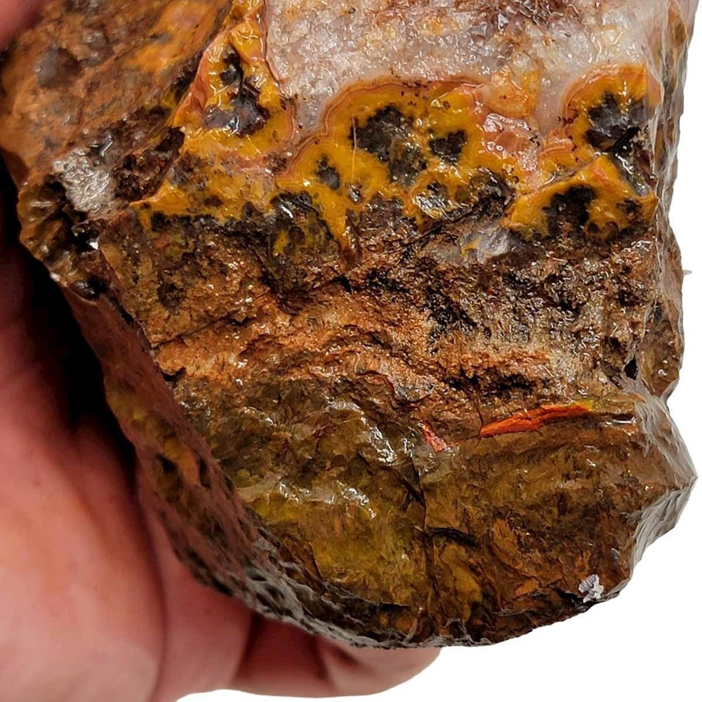 Moroccan Plume Agate Rough Chunk!