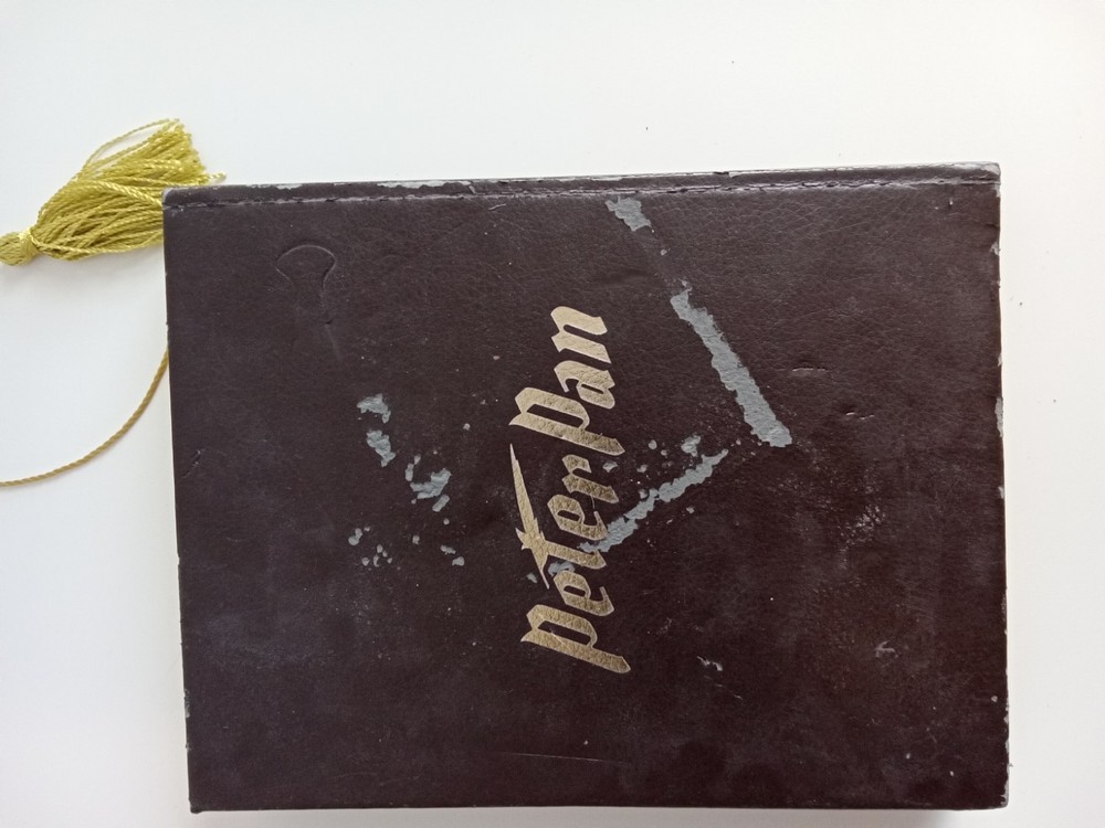 Hard Cover Tinkerbell Gold Edged Lined Journal Diary Notes