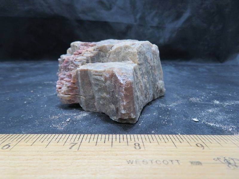 Petrified Wood 2 lbs & 3 ozs
