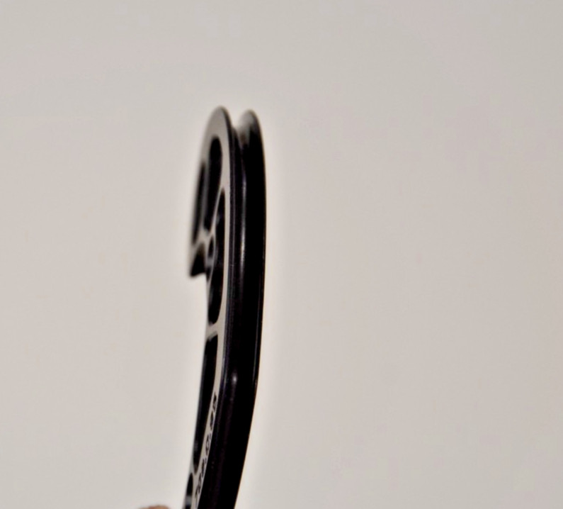 Mathews Archery SWX Mod