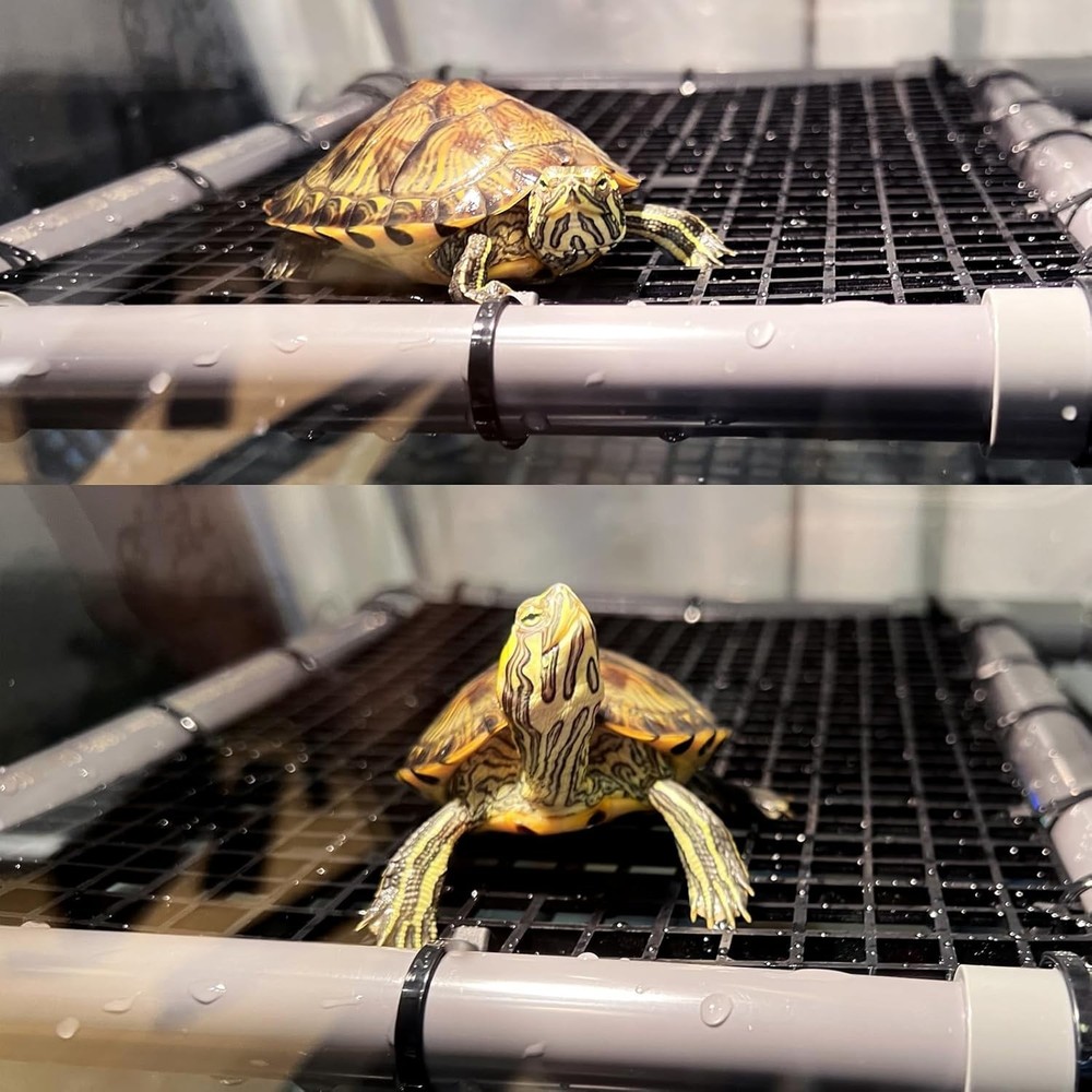 Turtle Basking Dock 10 Inch Wide Aquatic Platform with Secure Suction Cups