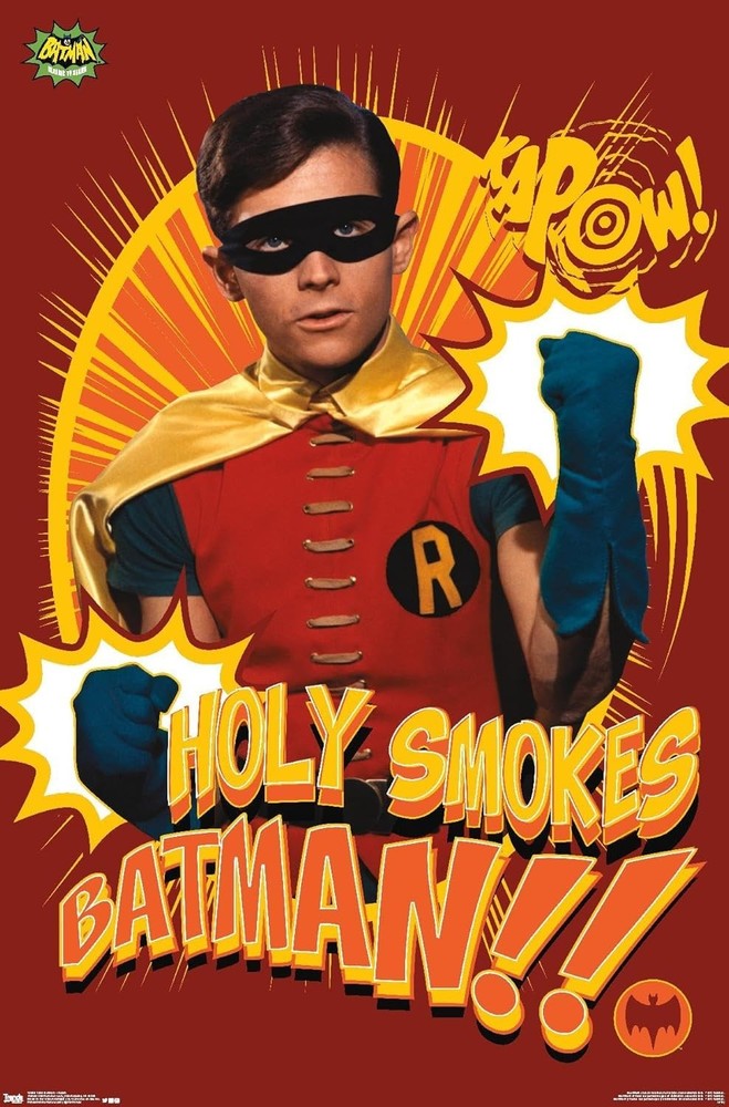 BATMAN & ROBIN MAGNET OR DECAL