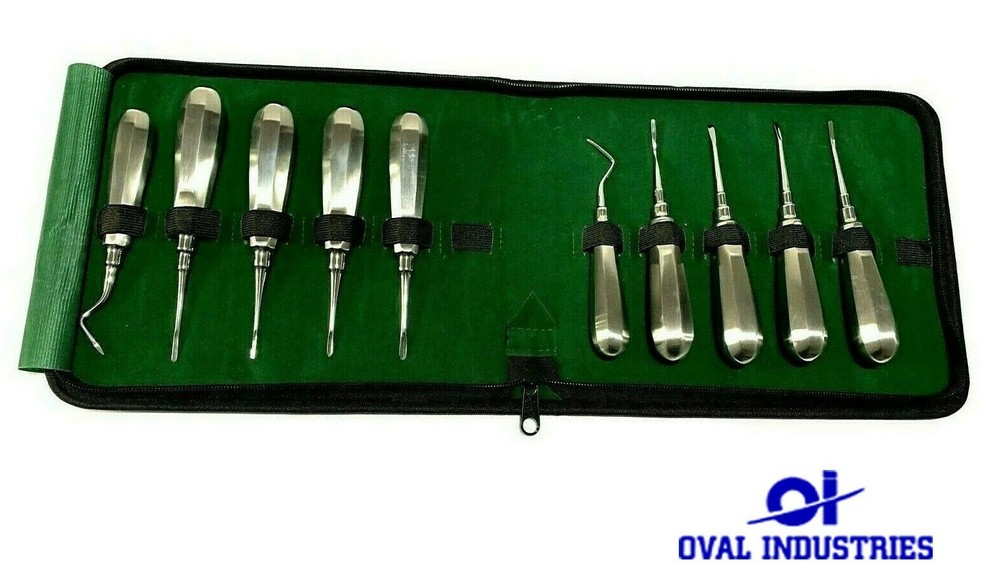 10Pcs Straight CVD Non-Magnet Handle French Points Elevators – Surgical Tools