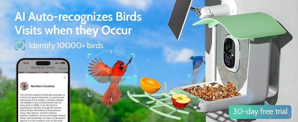 Bird Feeder with Camera, Smart Bird Feeder Camera with Solar Panel, AI Identify