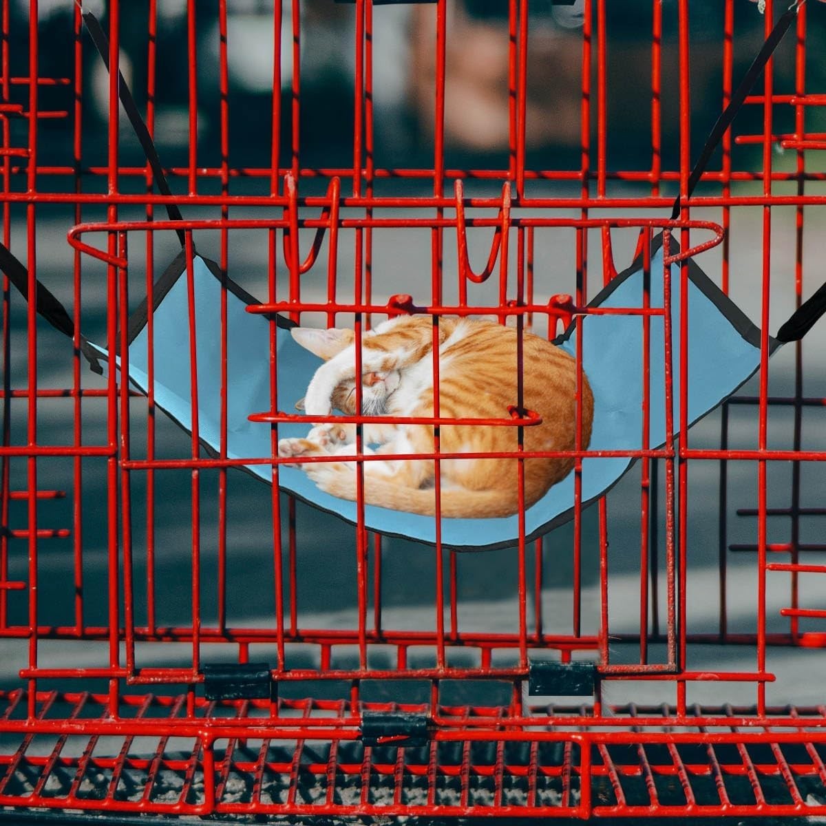 Durable Oxford and Cotton Cat Hammock for Relaxation - Easy Wash and Maintenance