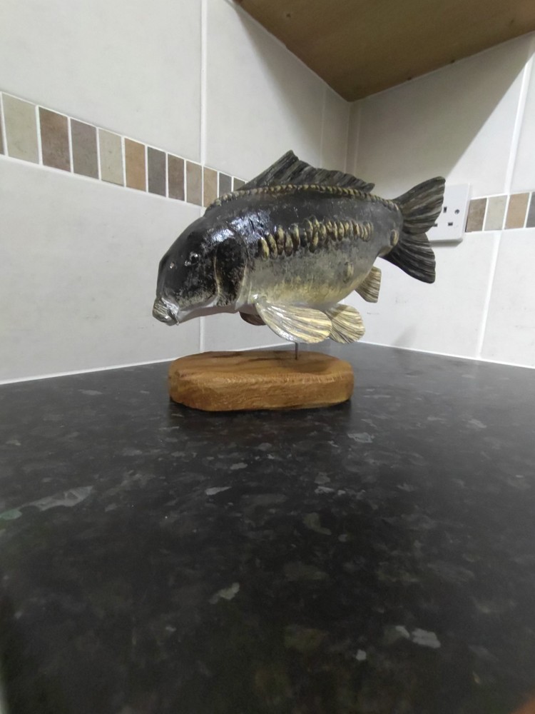Carp Fishing, linear Carp statue