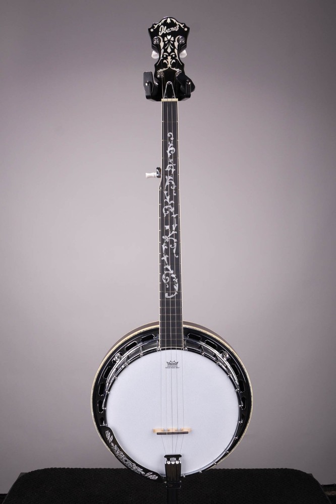 Ibanez B300 5 String Closed Back Banjo Natural