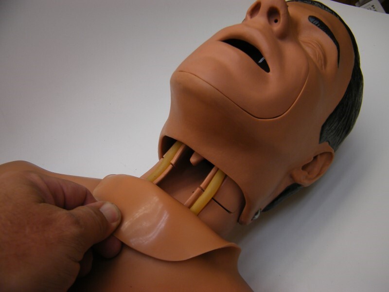 CPR training MANIKINS mannequin MPL?