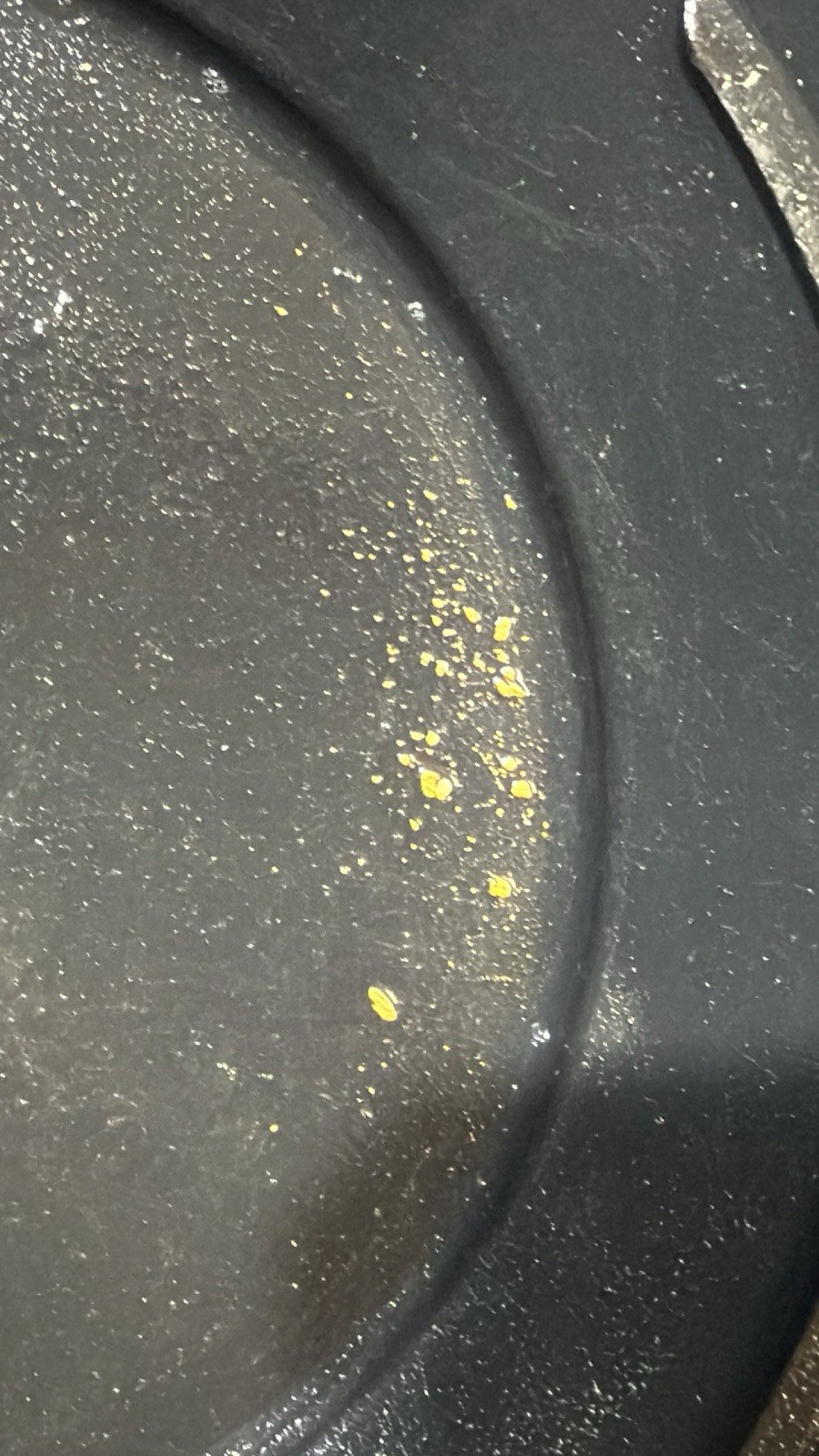 12 Lbs Raw Beach Sand Paydirt Spring Special Free Shipping