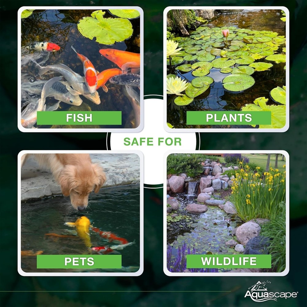 Beneficial Bacteria for Water Features