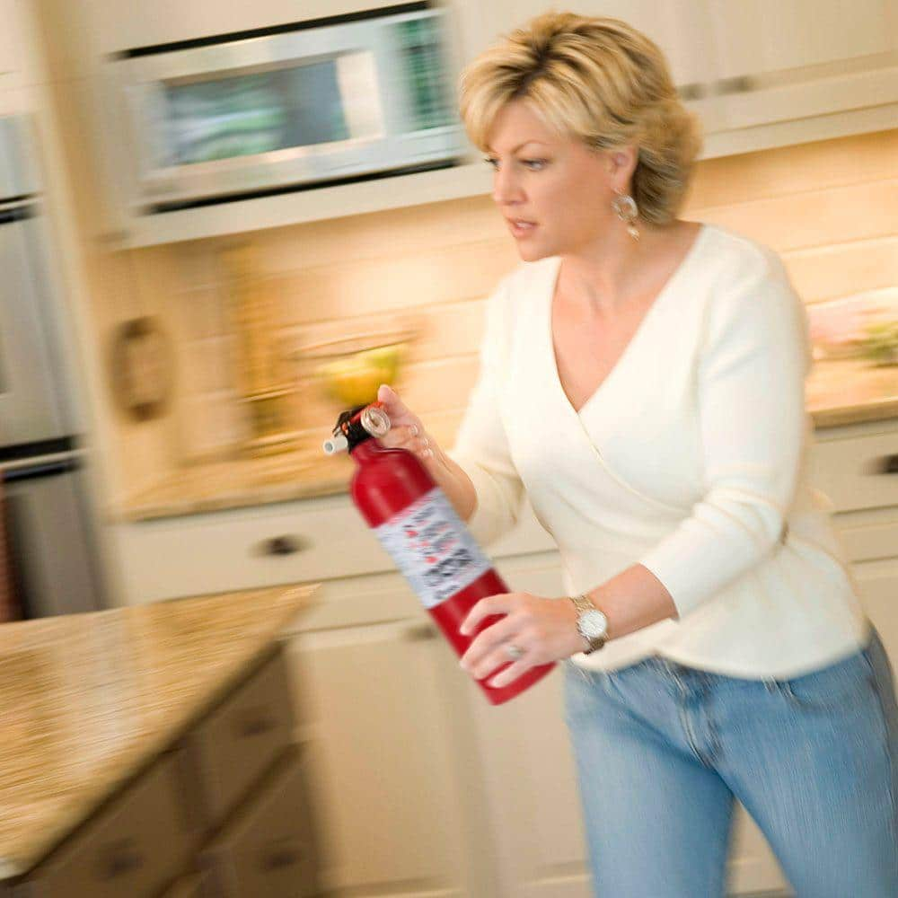 Basic Use Fire Extinguisher with Easy Mount Bracket & Strap, 1-A:10-B:C, Dry Che