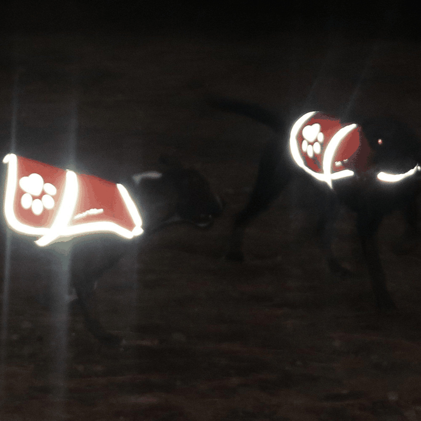 Dog Reflective Vest – Multiple Color Options with Hi Vis Fluorescent Visibility
