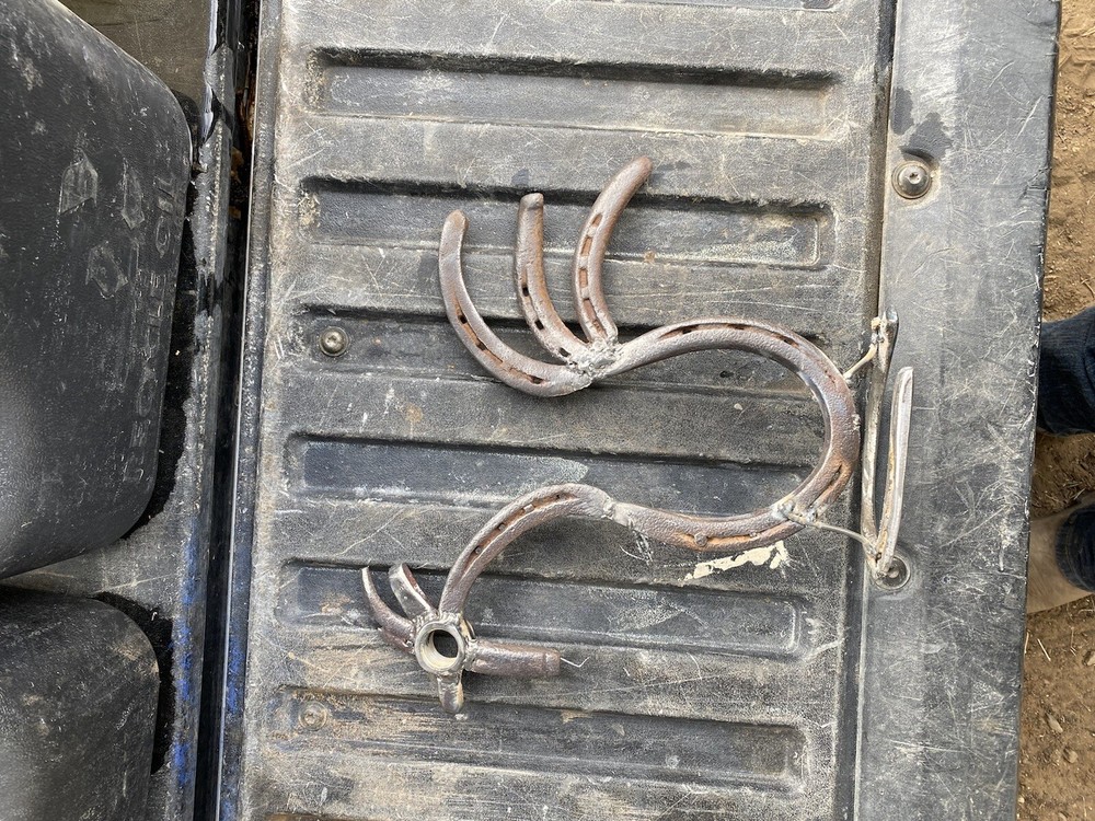 Horseshoe Chicken Handcrafted