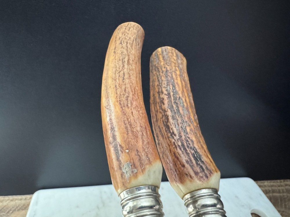 Custom German Stainless Kitchen Poultry Shears Stag Handle, Fork Tip, Take-Apart