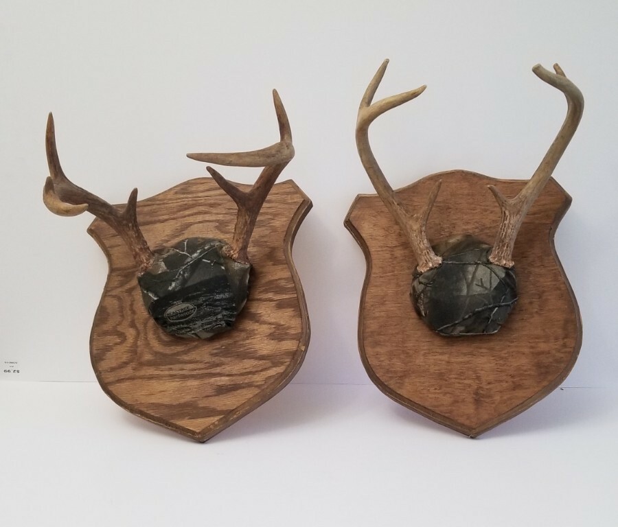 Deer Antler mounts on plaque