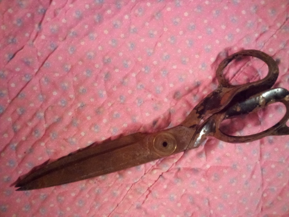 Clauss Scissors. Model: #4N.