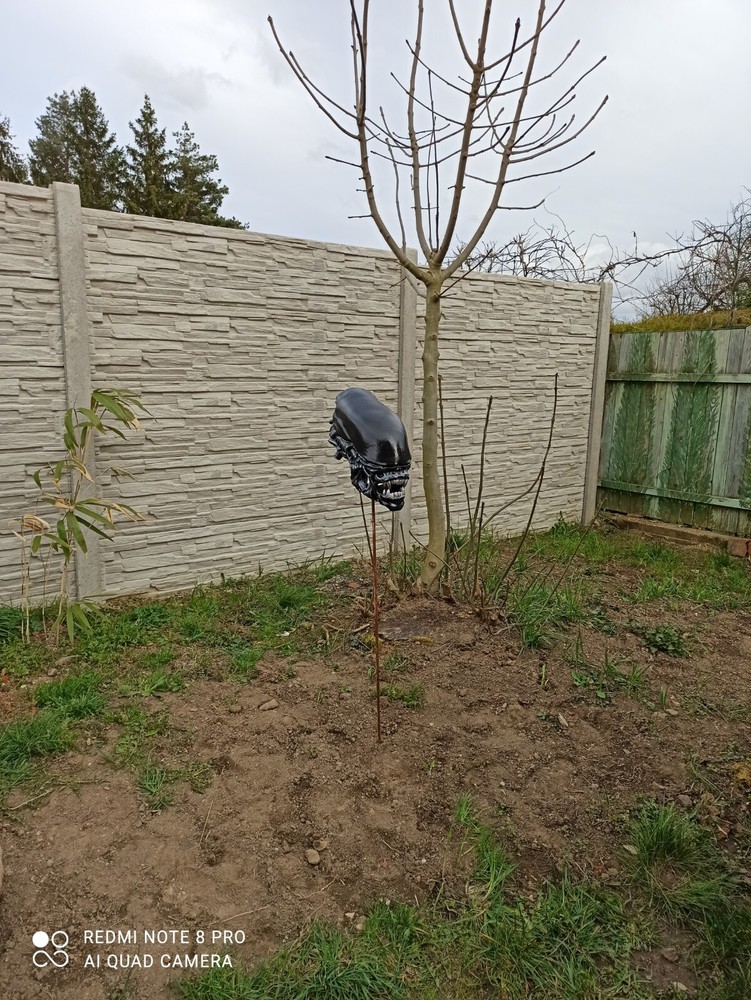 Alien / Xenomorph Romulus bust - head