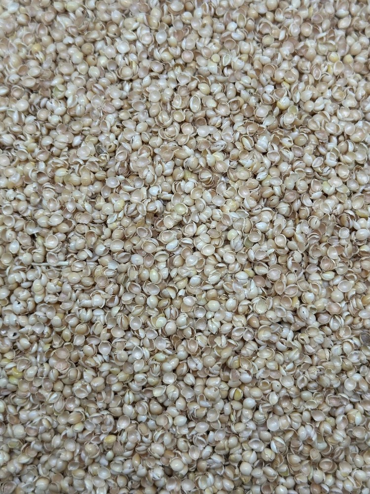 Millet Hulls