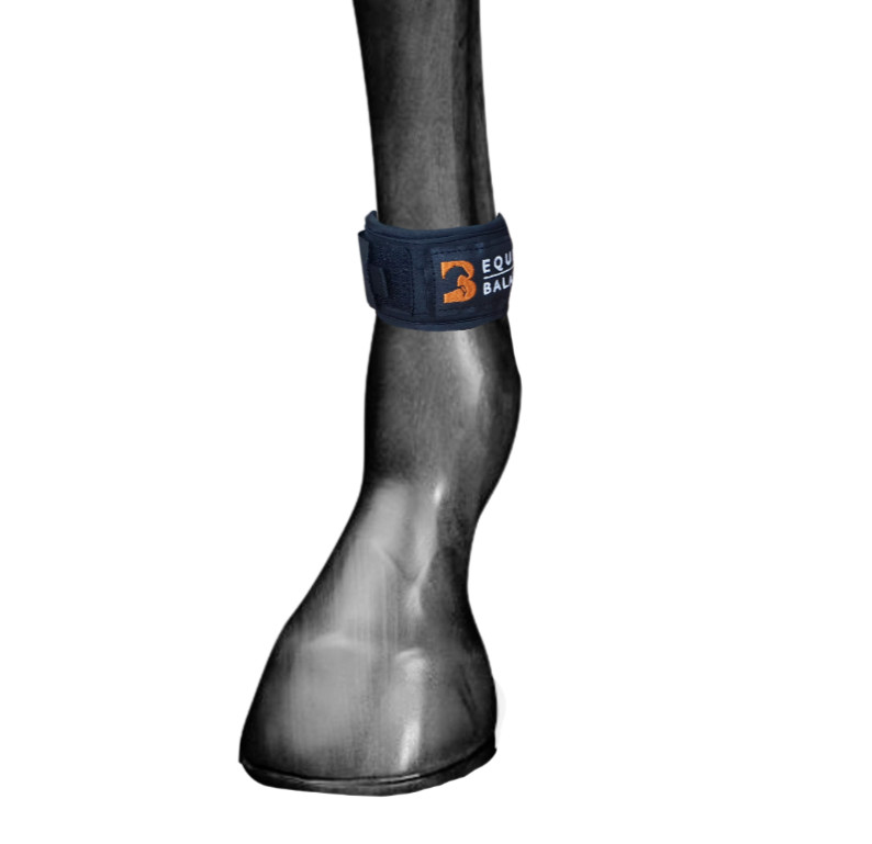Magnetic Therapy Pastern Wraps Leg Bands for Horses and Ponies