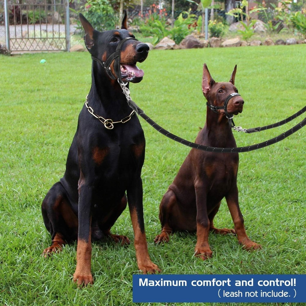 Comfortable Medium Dog Muzzle - Anti-Pulling & Barking Control, Adjustable Fit
