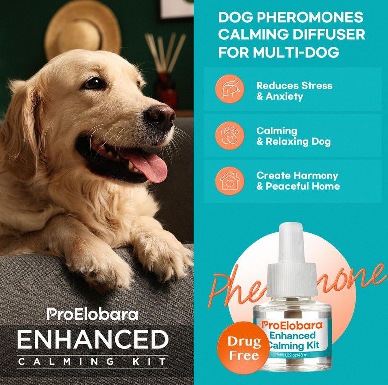Dog Calming Pheromone Diffuser Refills 3 Pack Anxiety Stress Relief Support
