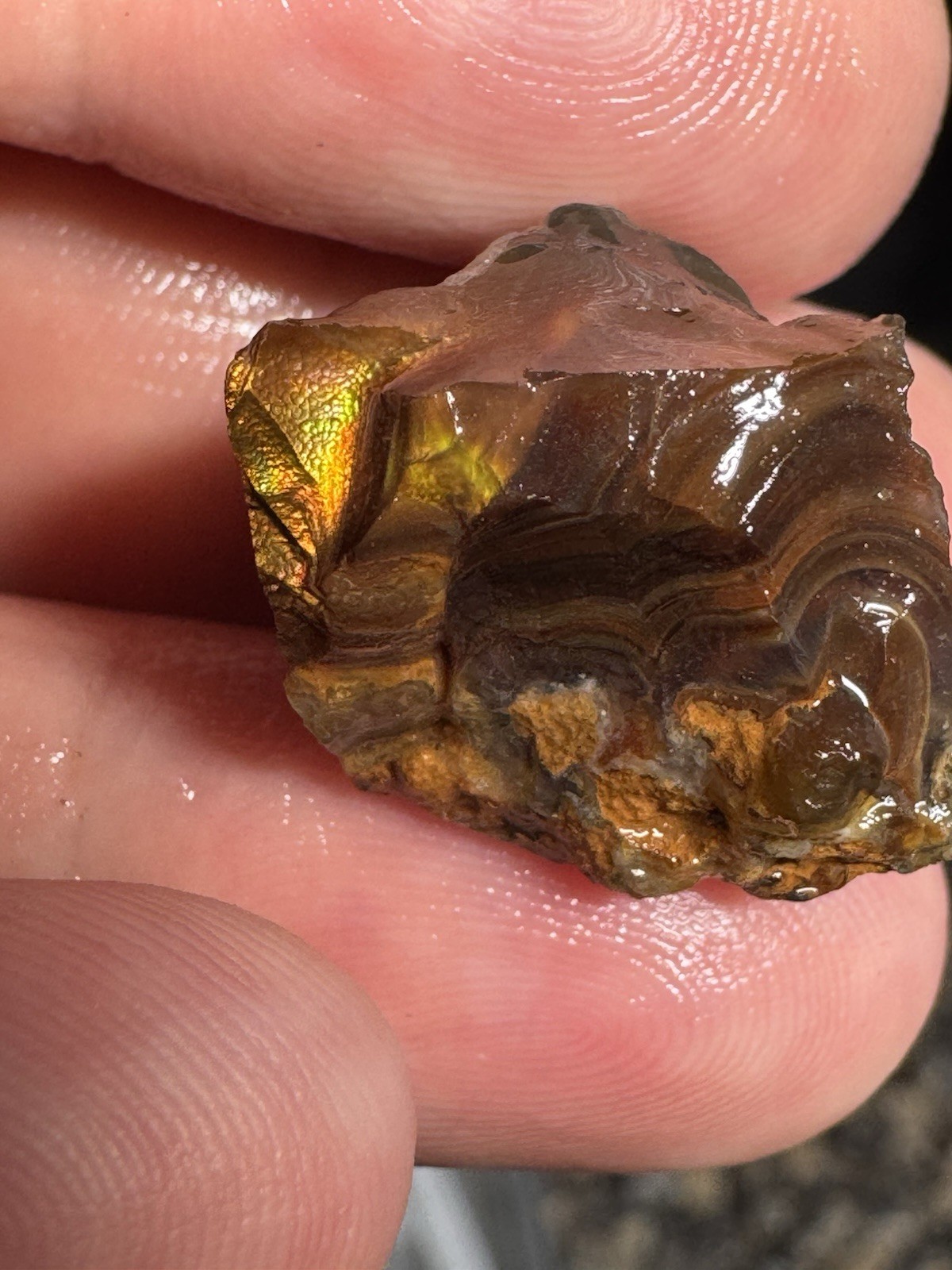 1/2 Lb Mid to Choice Grade Fire Agate Smalls Untreated Colorful Blind Grab Rough