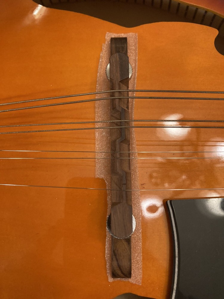 Harmony. Mandolin Acoustic w/softshell case