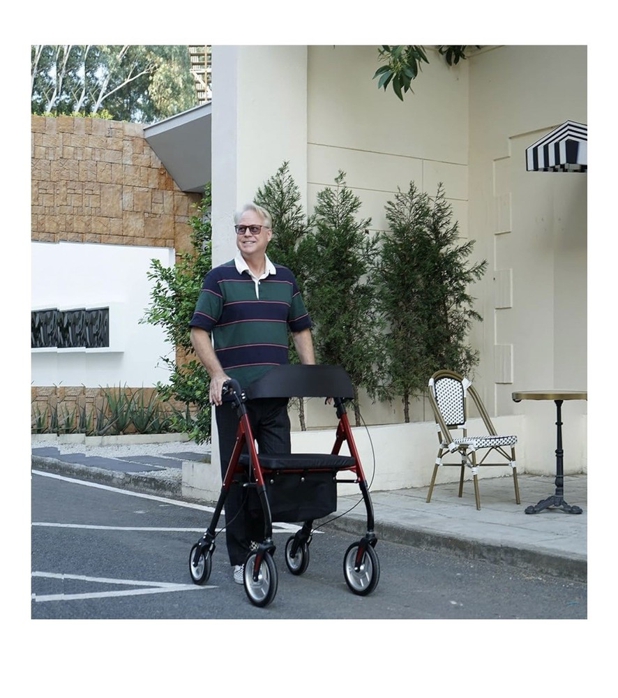 Winlove Rollator Walker Model: HCT-9201E