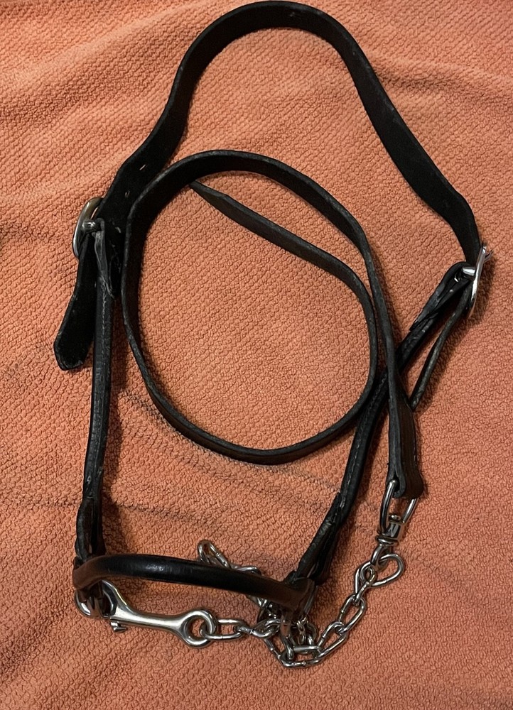 Weaver Leather Cattle Show Halter Medium w/ Chain Lead Adjustable see notes