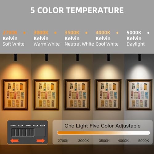 5CCT LED Ceiling Spotlight Dimmable Ceiling Light Directional 12W Black
