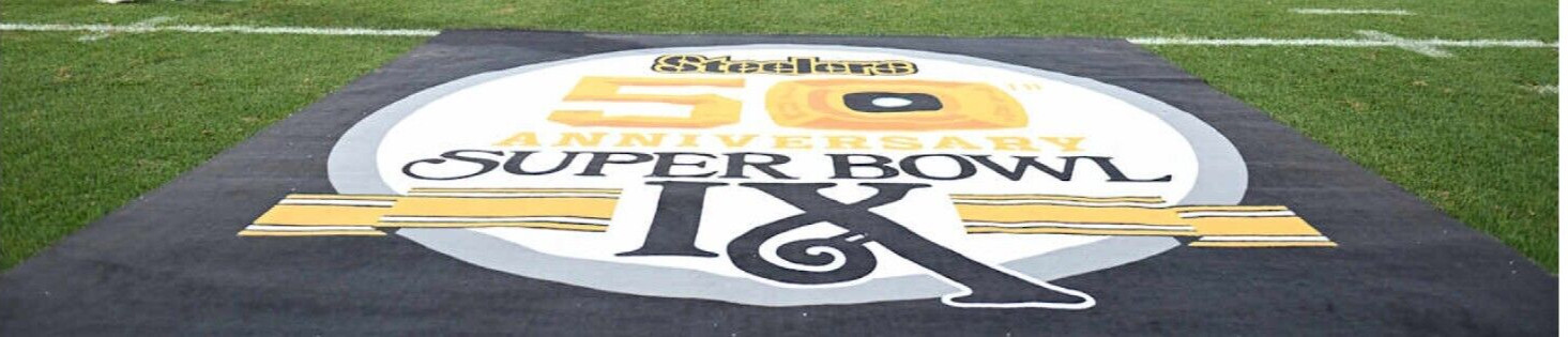 THE 2025 NFC WEST SEATTLE SEAHAWKS⭐50th SEASONS⭐ iron/sew-on PATCH