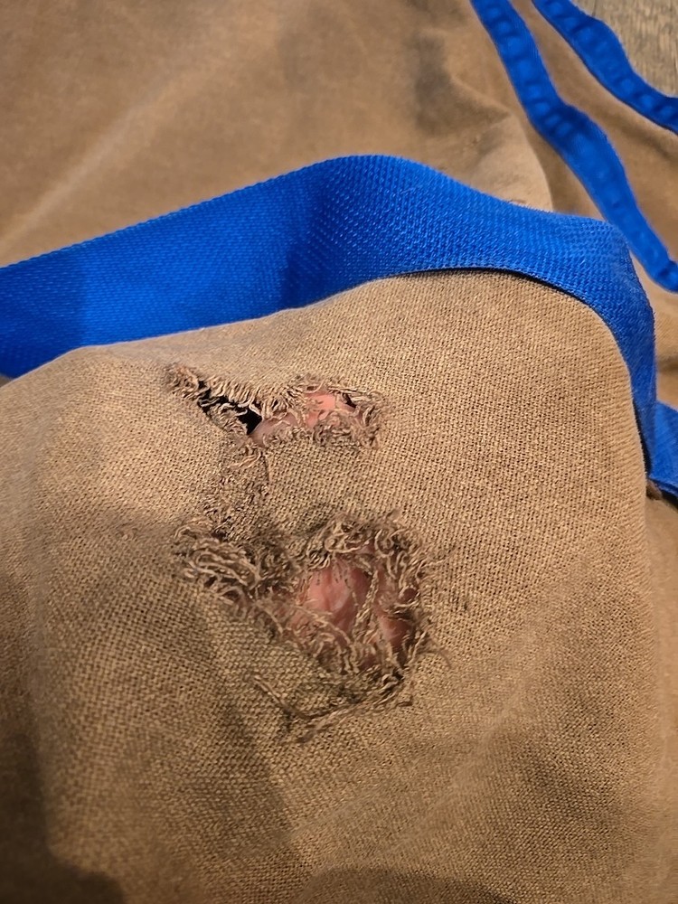 Stable Sheet *Damaged* 72