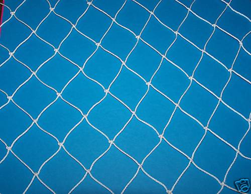 30' x 30' Chicken, Duck, Poultry, Aviary Nylon Netting 2" Holes Lightweight Net