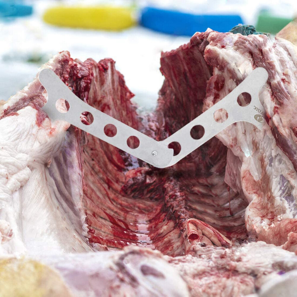 Mossy Oak 10 PIECE Hunting Field Dressing Kit w/Storage Case Alloy Steel Blade