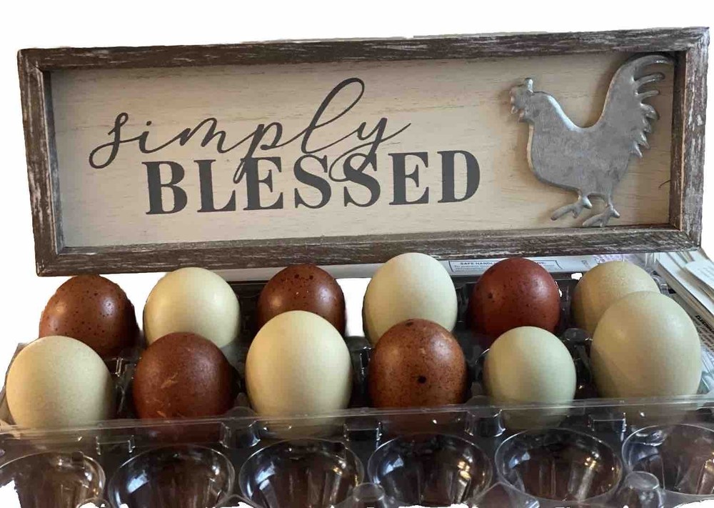 Black Copper Marans & Olive/Coffee/Earth Egger Hatching Eggs