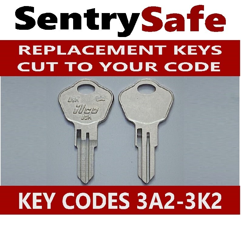 Sentry Safe Keys Cut to your Code Replacement Spare Key Codes 3A2-3K2