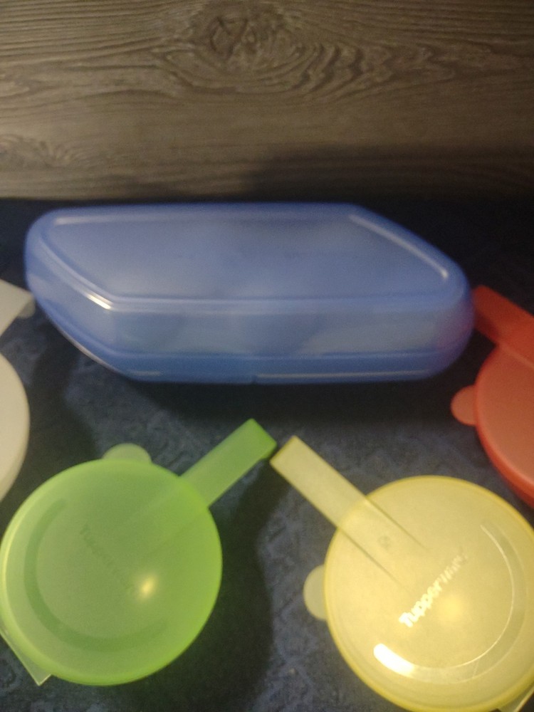 Tupperware 5 Piece Multicolor Fridge Set