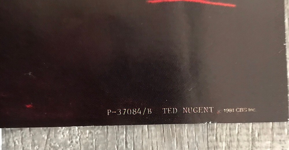 TED NUGENT ORIGINAL RARE 1981 CBS LARGE BANNER RECORDS STORE POSTER 10 Cities