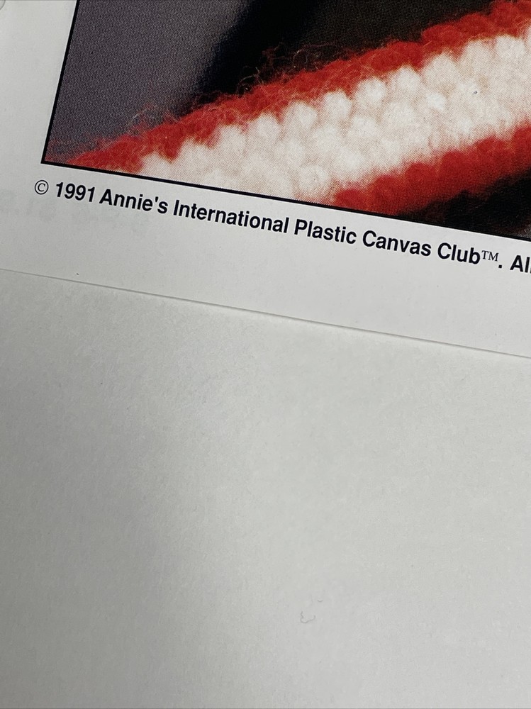 Pet Collar & Frame Annie's Plastic Canvas Pattern