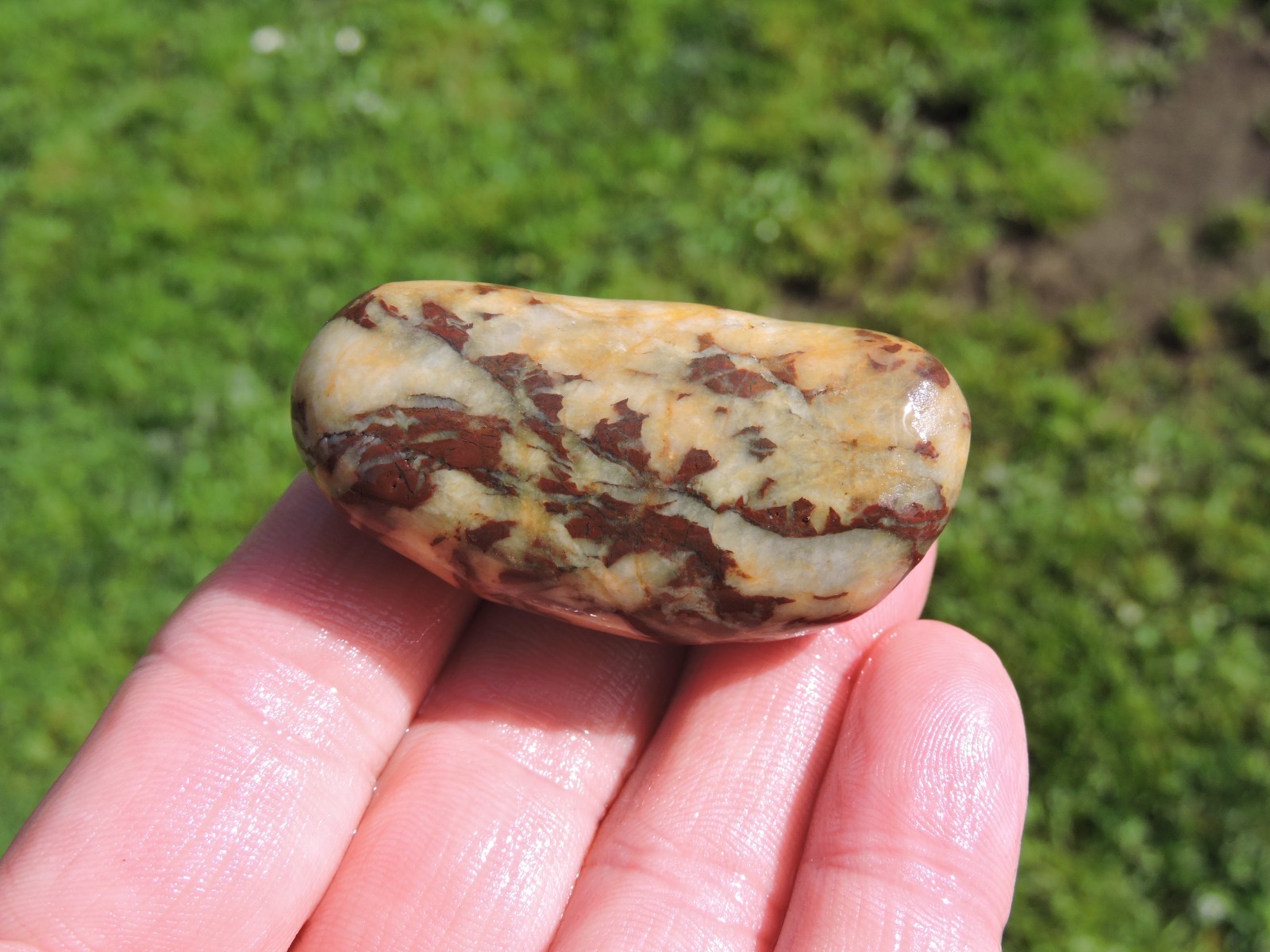 Lot of 🌈 Tumbler Size RAINBOW MIXED STONES from PNW (11.5 lbs) WEST COAST ROCKS